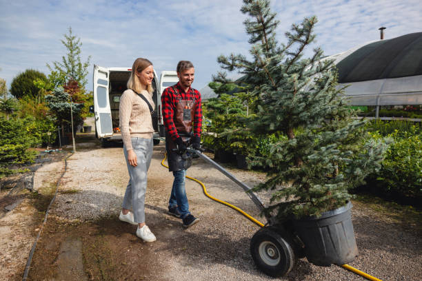 Best Tree and Shrub Care  in Friendly, MD